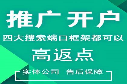 某电商平台的SEM服务托管全流程案例